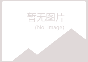 黑山县喧哗工程有限公司